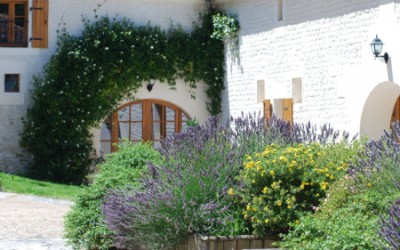 Charming Guesthouse in the vineyard of Cognac