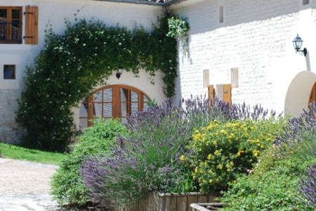 Charming Guesthouse in the vineyard of Cognac