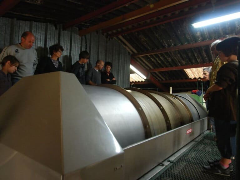 Harvest in cognac vineyards. The horizontal press in action