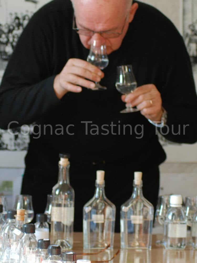 professional tasting of new eaux-de-vie