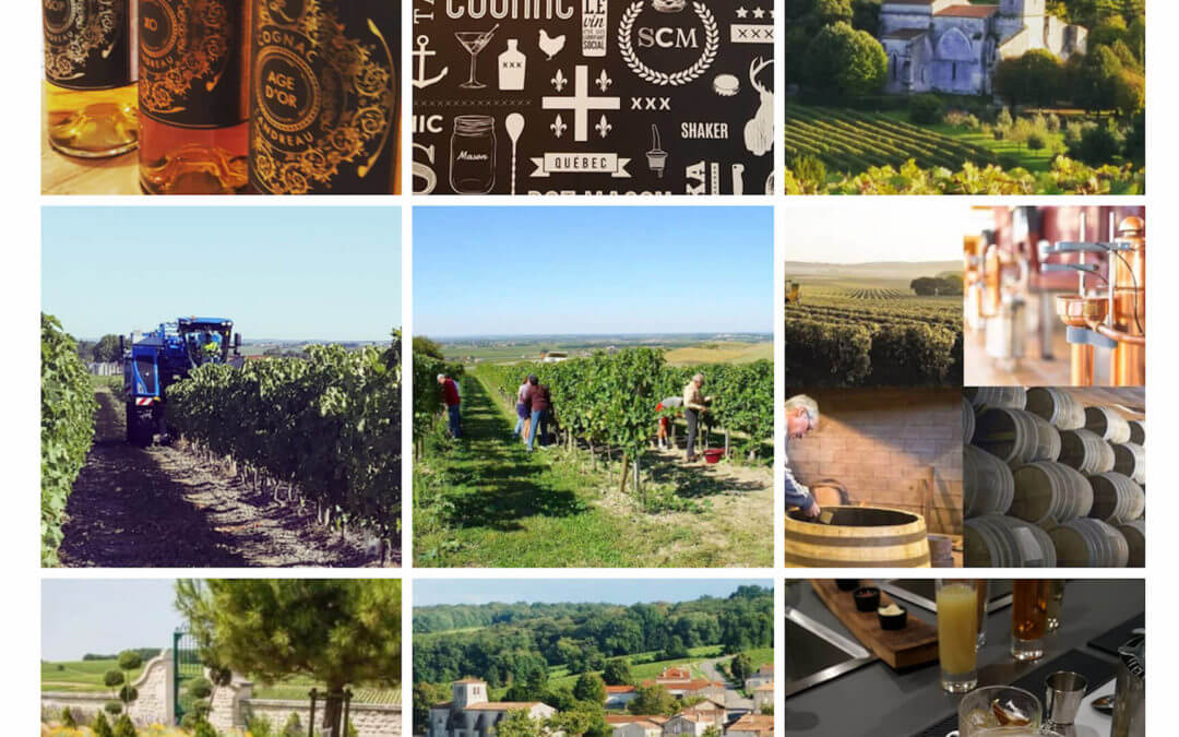 Le Cognac et son Vignoble – Photos et Vidéos