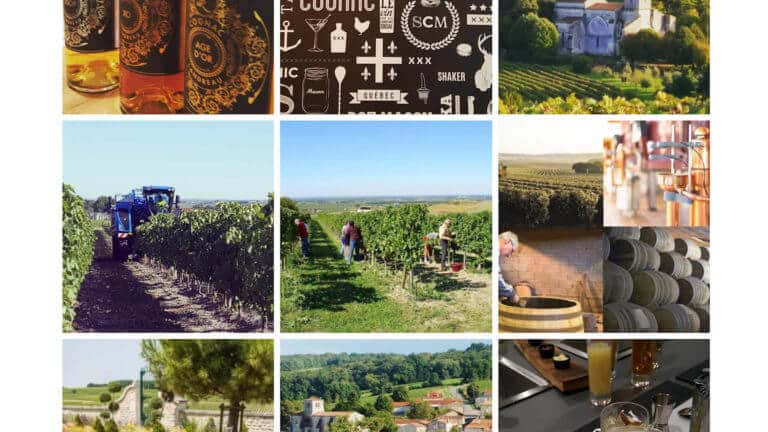 Le vignoble de Cognac vu par Cognac Tasting Tour sur Instagram