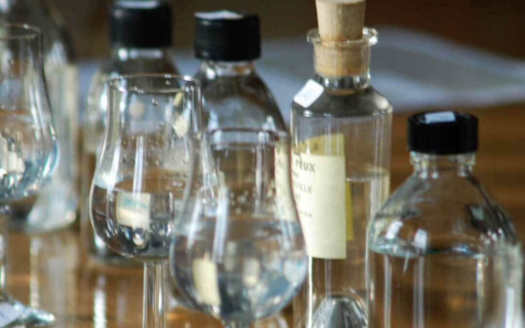Dégustation des eaux-de-vie nouvelles
