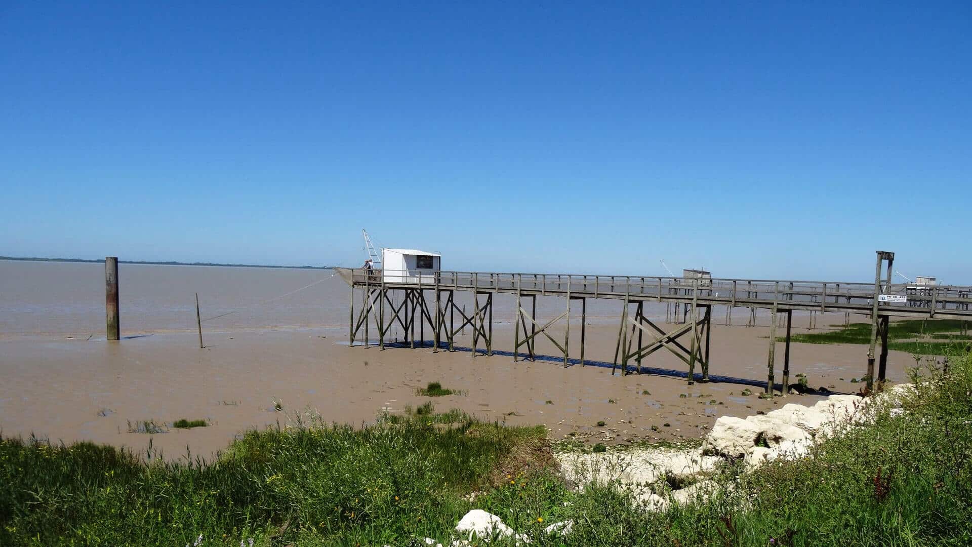 Les bords de Gironde, entre vignobles de Cognac et vignoble de Bordeaux Côtes de Blayes