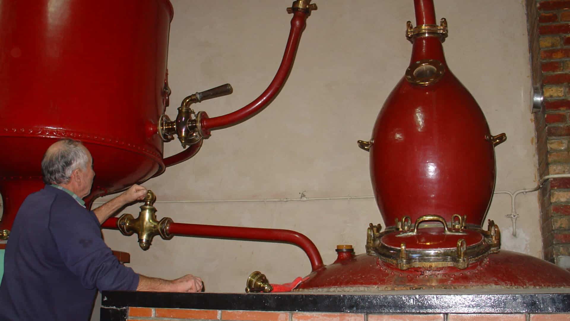 A distiller facing his traditional still with an olive shape head capital for distilling cognac