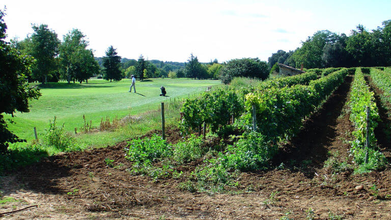 Play the golf course and enjoy the peace and beauty of the cognac vineyards