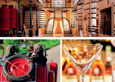 The Cognac country has been labelled as one of the best vineyards to visit in France