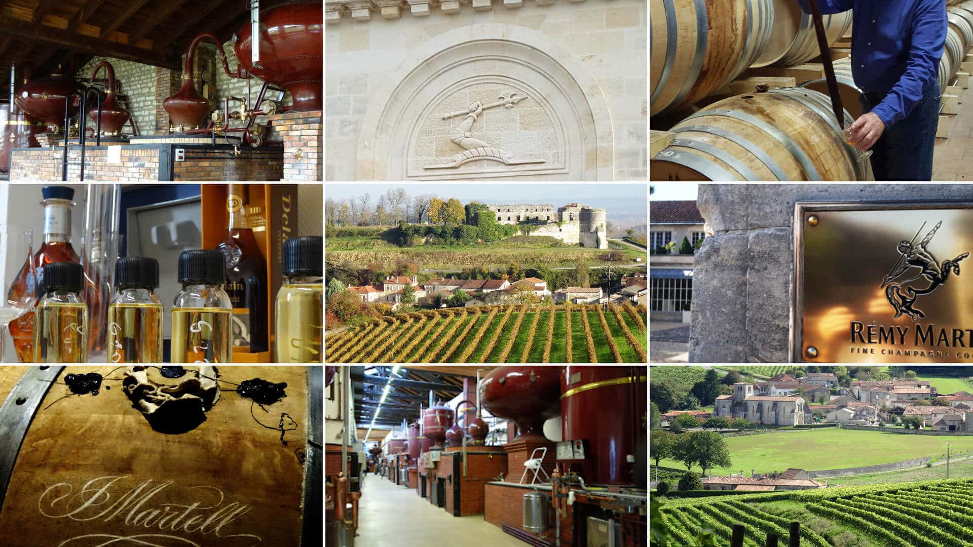 Excursion sur mesure au Pays du cognac avec Cognac Tasting Tour