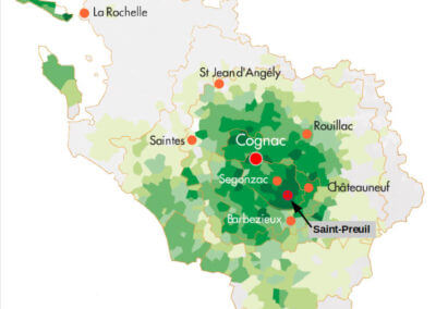 Immergez-vous dans le vignoble de Cognac