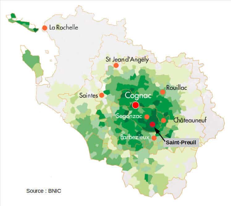 Immergez-vous dans le vignoble de Cognac