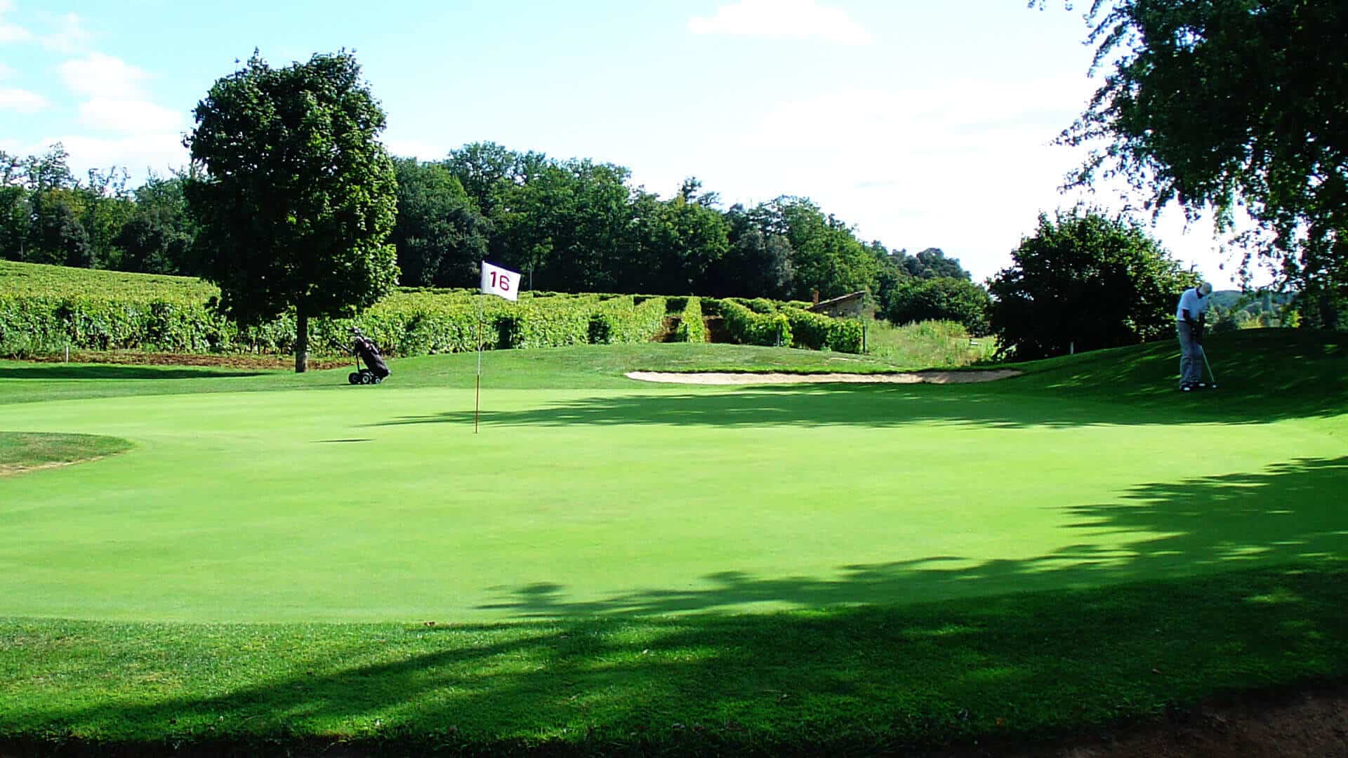 Play golf in the vineyard of Cognac and discover the Charentes