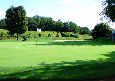 Play golf in the vineyard of Cognac during a stay in a charming guesthouse