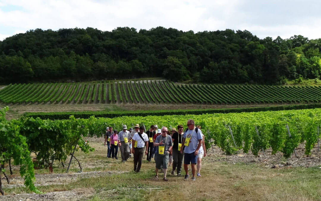 Balade Gourmande en Grande Champagne