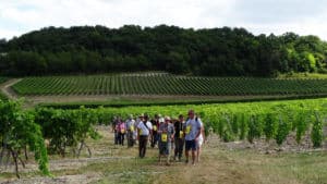 Gourmet walk in Grande Champagne, hike for gourmets