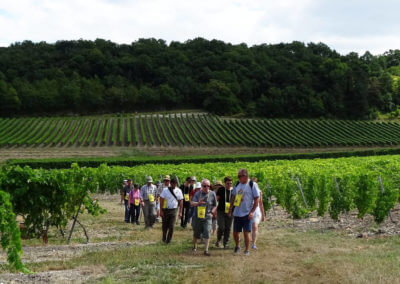 Balade gourmande en Grande Champagne, randonnée pour gastronomes