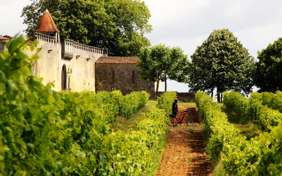 Entre Charente et vignes, balade en vélo et canoë