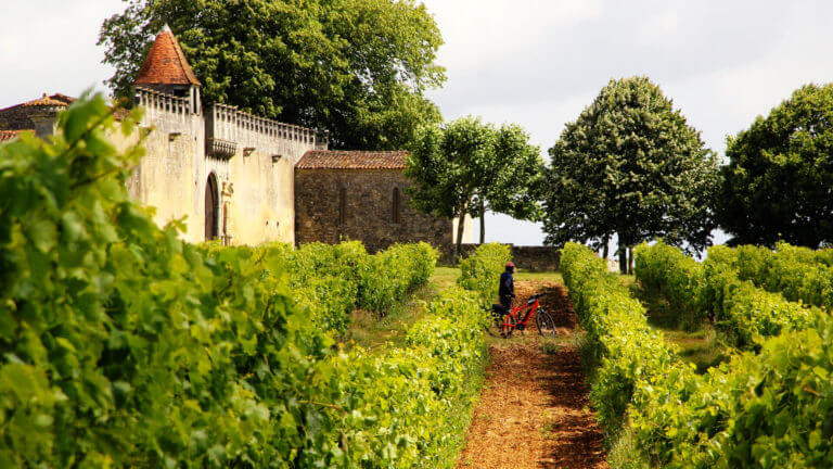 A 17th century manor in the middle of the vineyards to discover by bike