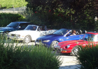 A classic car owner's club on tour in Charente with a stopover in the Cognac vineyards