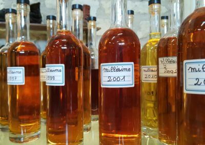 Cognac vintages to discover and taste in an craft distillery