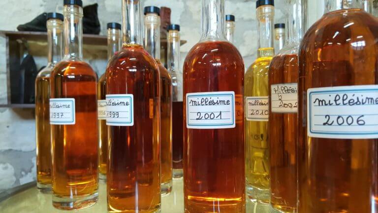 Cognac vintages to discover and taste in an craft distillery
