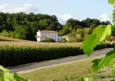 A 19th century Charentaise mansion in the heart of the Charente vineyards