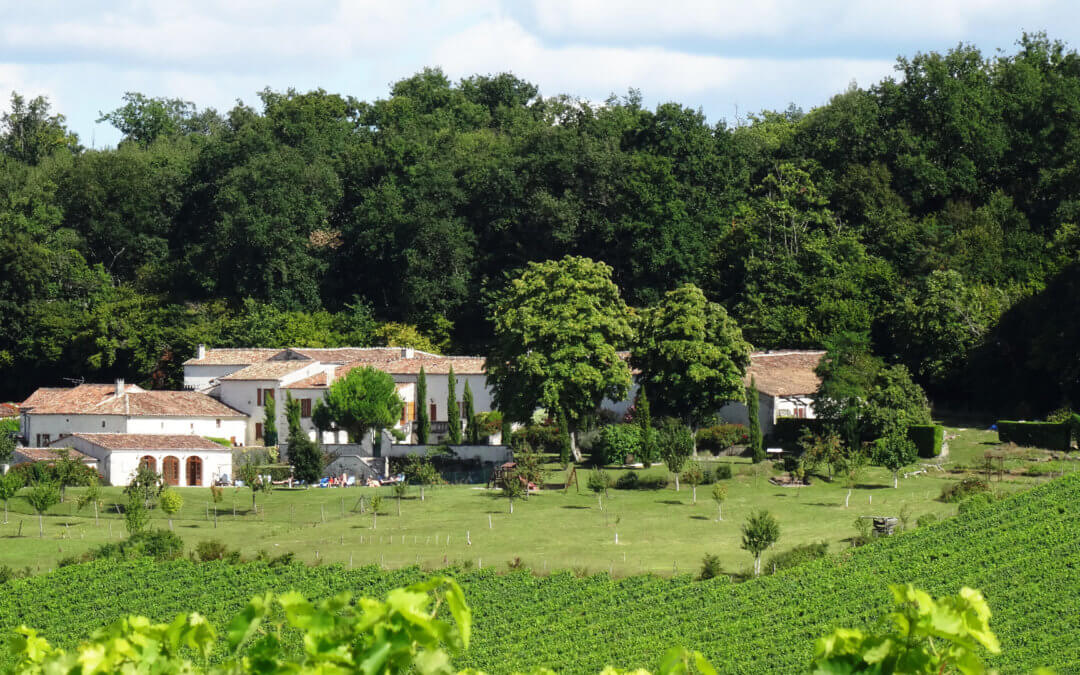 Balade en vélo électrique de deux heures dans les vignes de Cognac