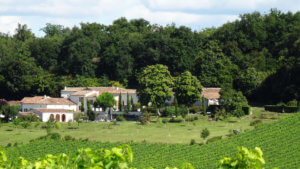 Maison d'hôtes de charme nichée dans les vignes de Cognac