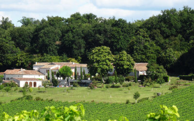 Two-hour electric bike ride through the Cognac vineyard
