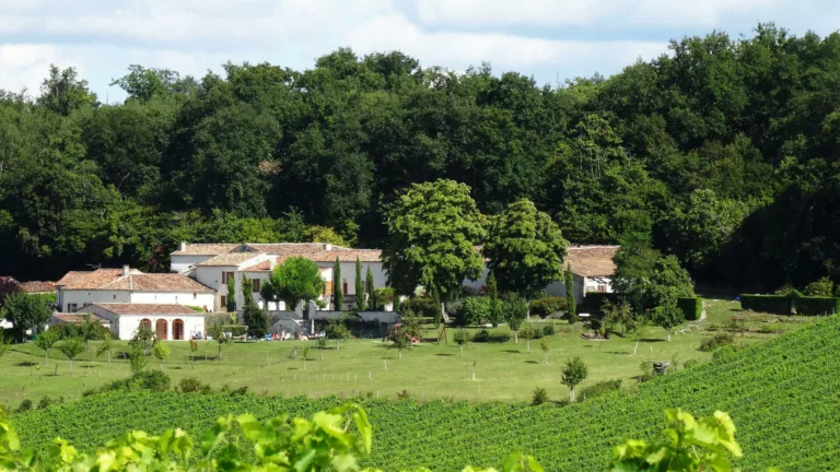 Charming guest house nestled in the Cognac vineyards