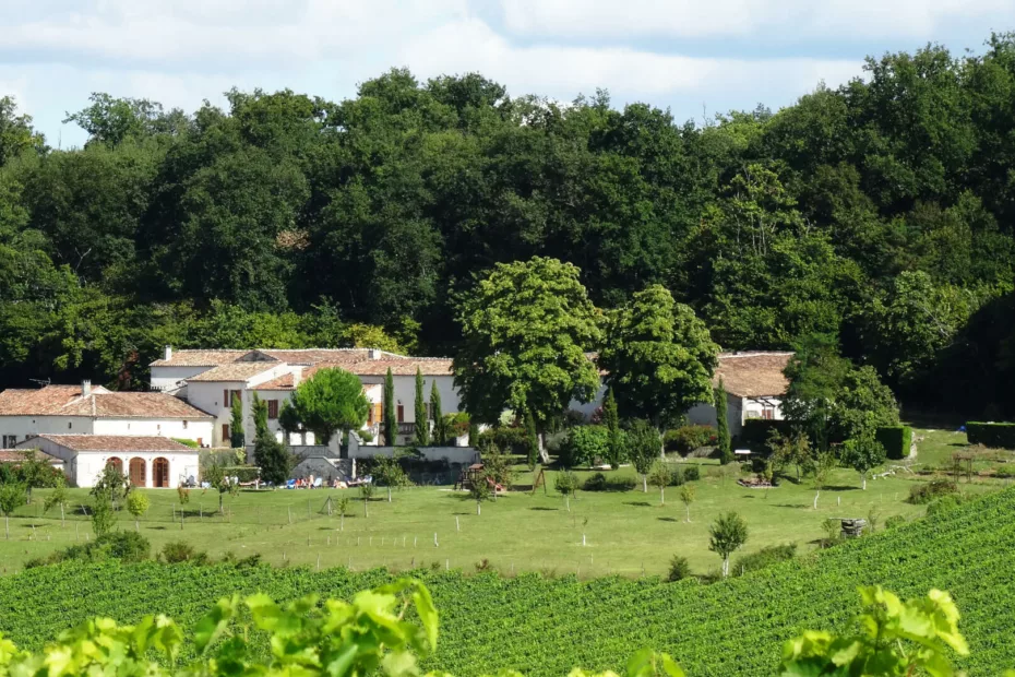 Charming guest house nestled in the Cognac vineyards