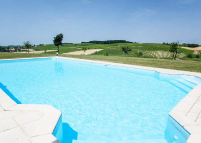 La piscine face aux vignes de cognac d'une demeure de charme