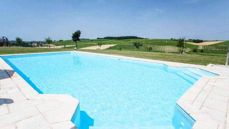 The swimming pool facing the cognac vines of a charming residence
