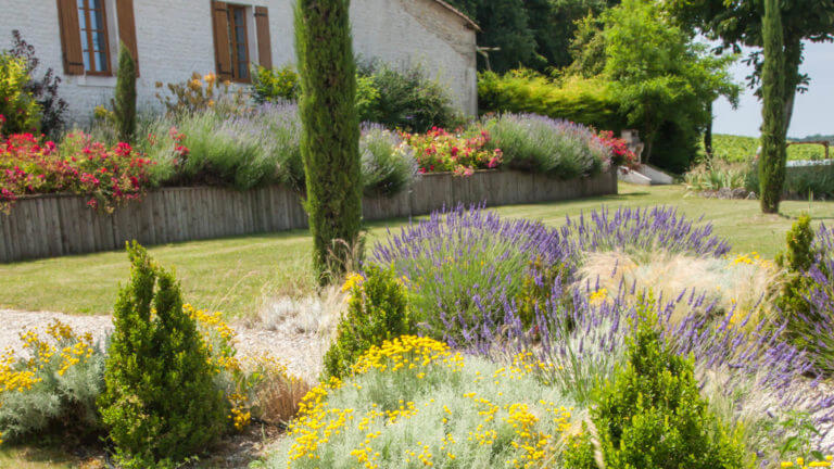 Stroll in the flowered garden in the cognac country