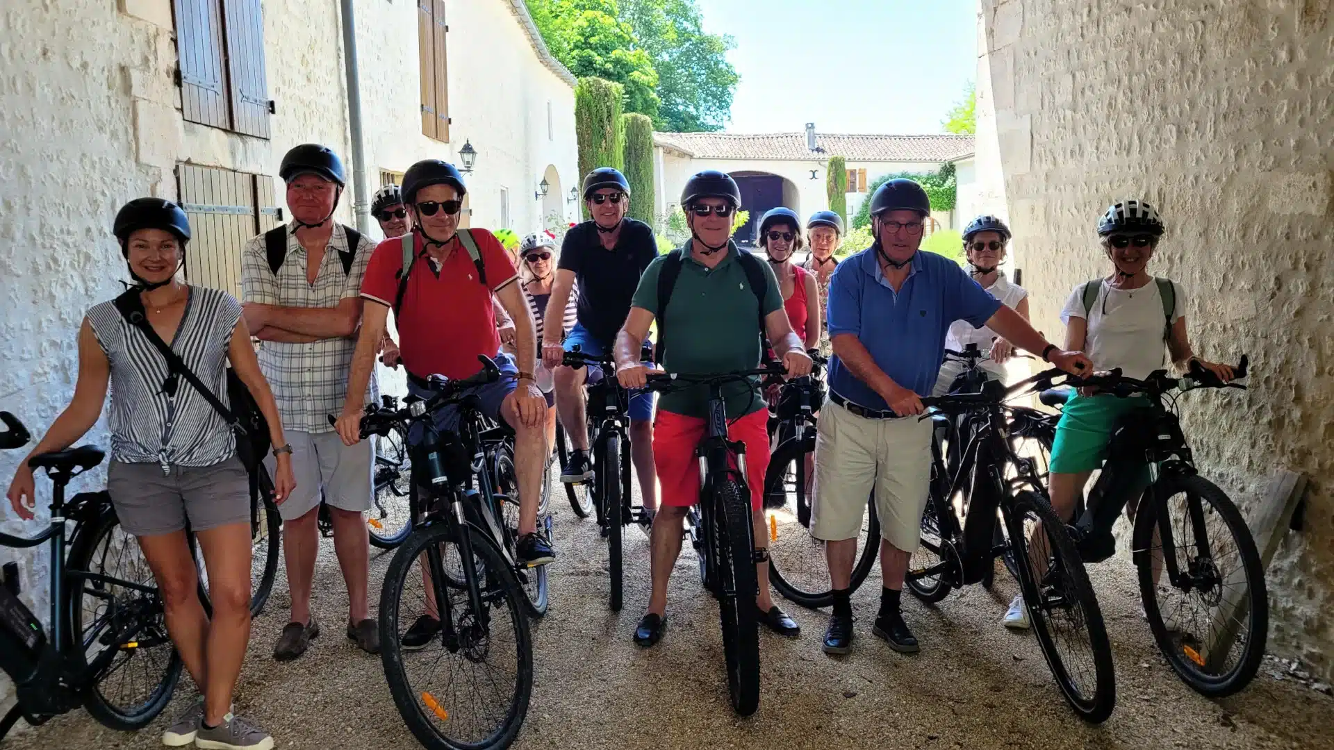 Balade guidée en vélo électrique dans les vignes pour un petit groupe