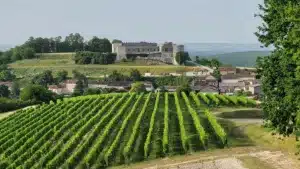 Medieval castle in the heart of the Cognac vineyard during a Charentes day trip