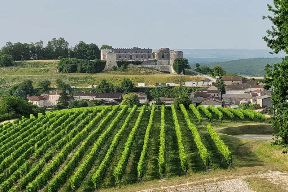Medieval castle in the heart of the Cognac vineyard during a Charentes day trip