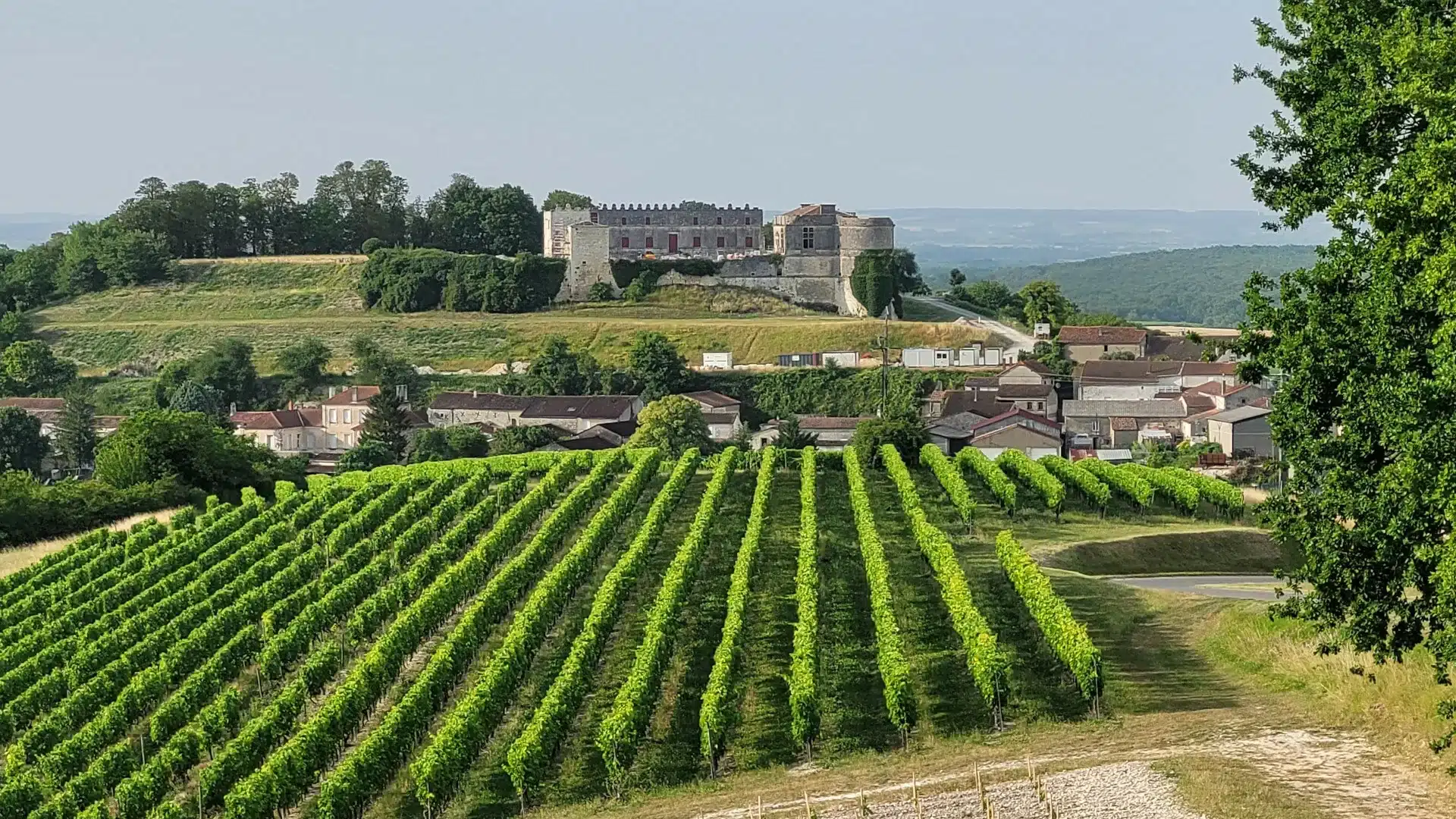 Medieval castle in the heart of the Cognac vineyard during a Charentes day trip