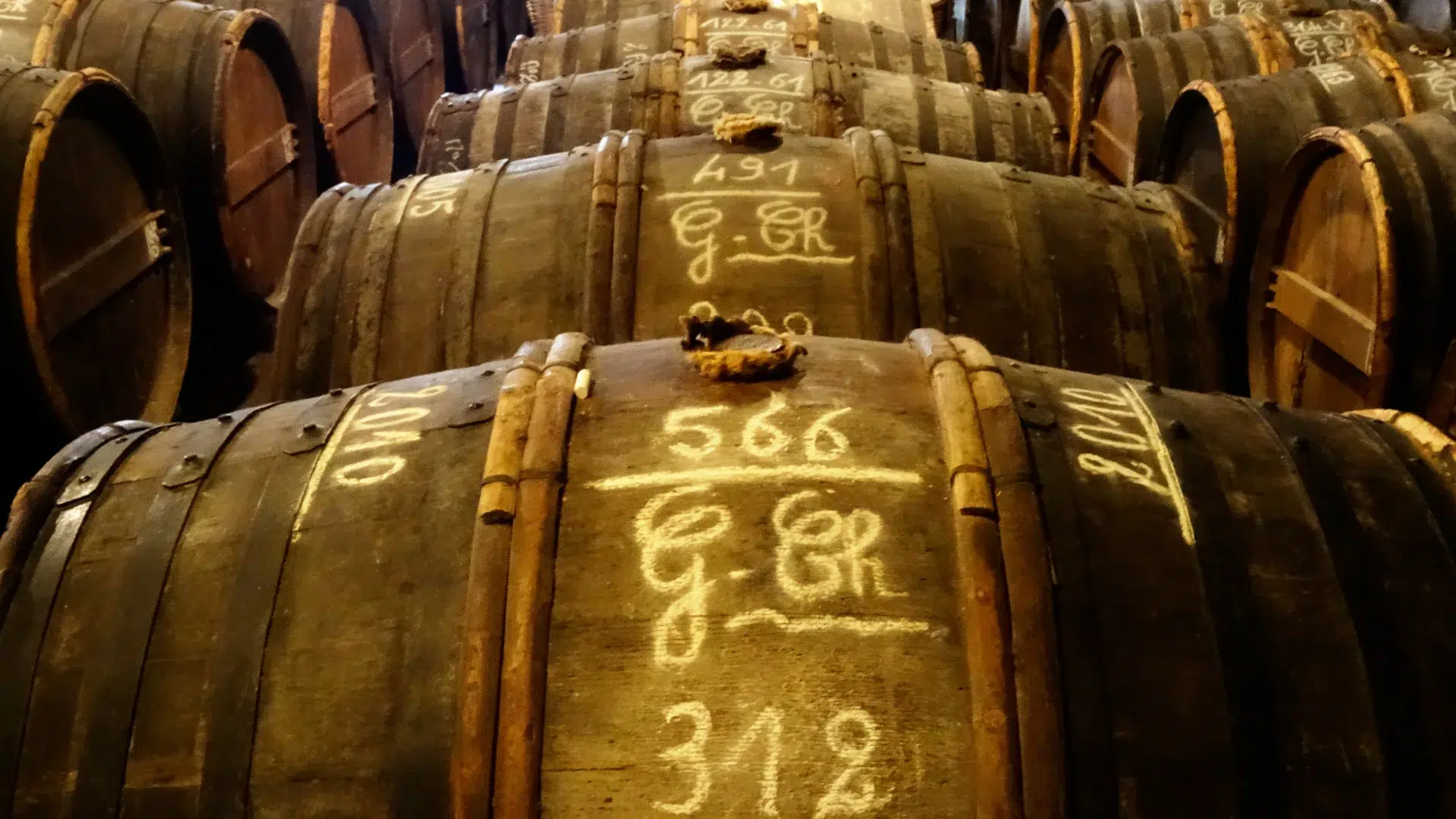 One of the Cognac chais to discover during a Cognac day-tour