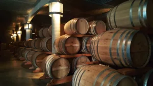 Storage during a Cognac distillery & Bordeaux winery – Day-trip