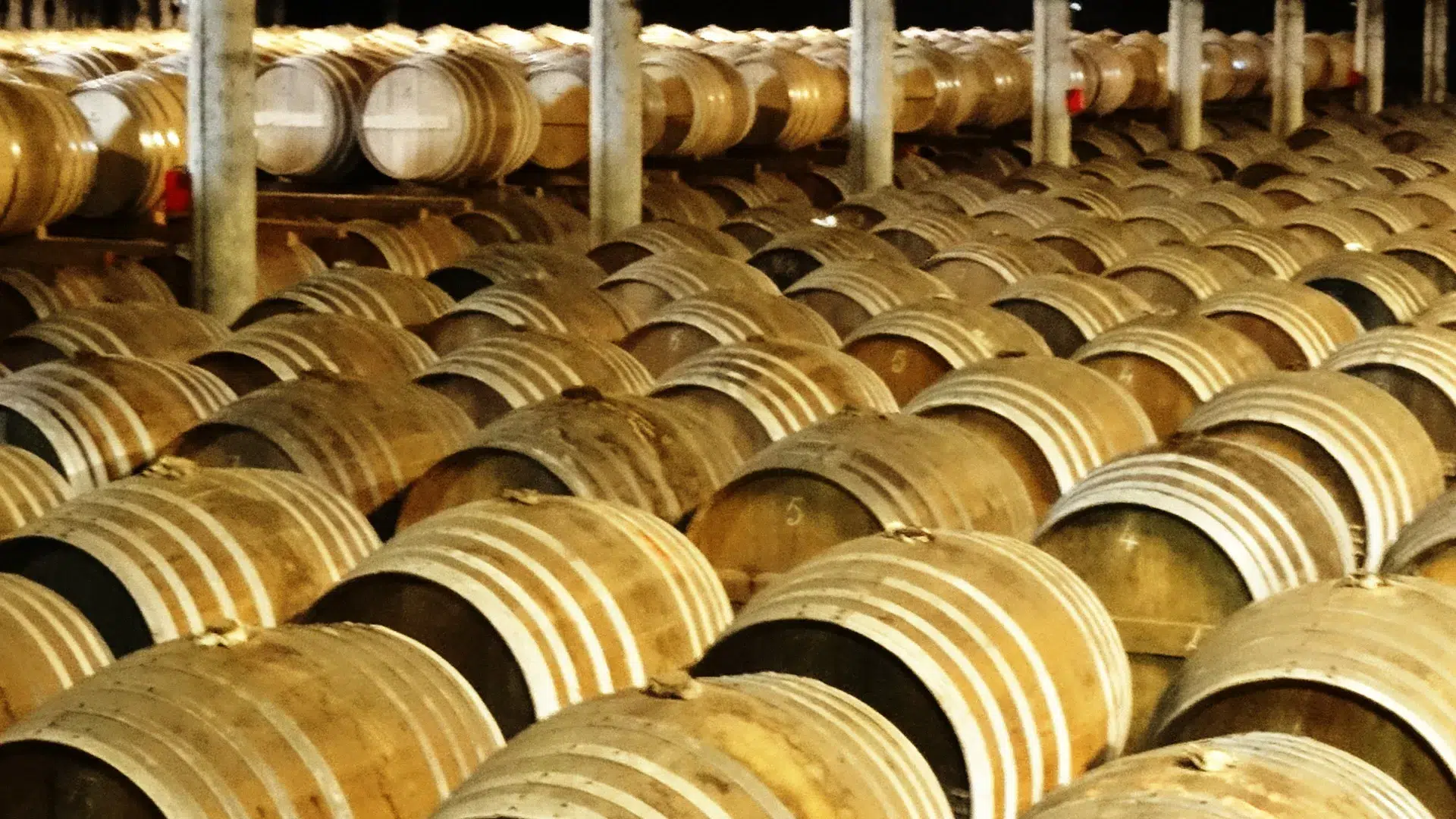 Visite des distilleries de cognac : des rangées de fûts remplis d'eaux-de-vie