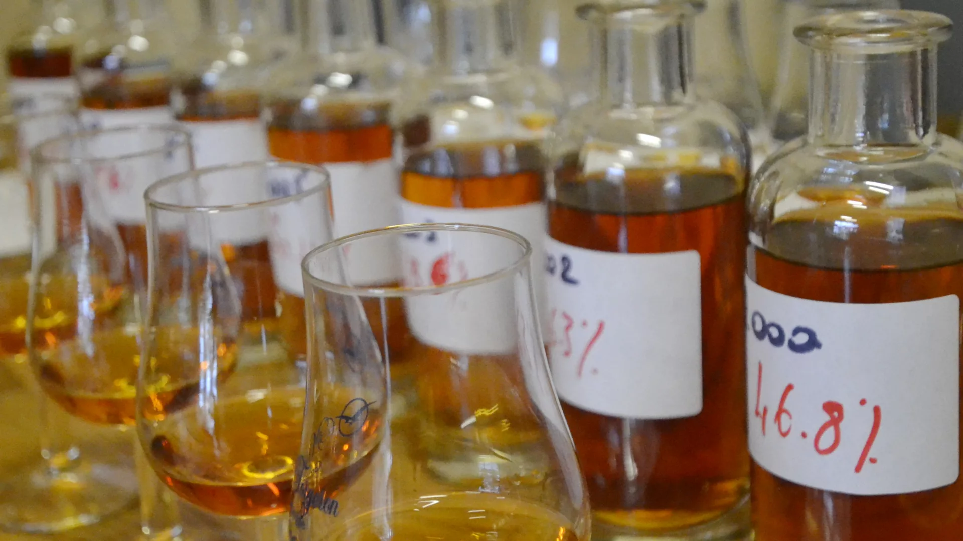 Atelier assemblage de son cognac avec le maître de chai de la propriété