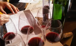 Bordeaux wine blending workshop with the estate's oenologist