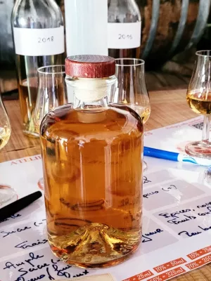 Atelier assemblage de son Pineau des Charentes avec le maître de chai de la propriété